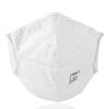 Shigematsu Seisakusyo Shigematsu Disposable N95 Made In White Mask, Bi-Fold, Japan, DD02-N95-2K (10 Masks),