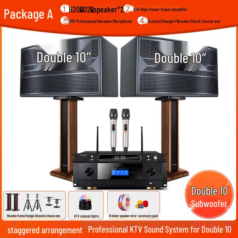 SANSUI F20 Home Karaoke System CN plug (adapter included) (CN version)
