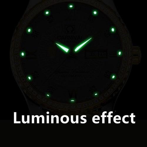 Carnival Couple's Watches, Men's and Women's Automatic Mechanical Watches, Romantic Couple's Set, Black