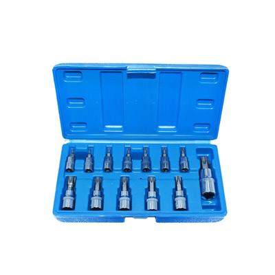 Набор бит-головок Torx T8-T60 из 13 предметов для профессиональных механиков и DIY-проектов по ремонту дома 1/4 дюйма 3/8 дюйма 1/2 дюйма