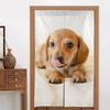 Stylish and Noren curtain featuring a miniature dachshund Perfect for living and other 86cm x easy-to-use puppy. privacy, entryways, kitchens, rooms,