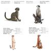 Realistic Pvc Mongoose Animal Model Toy For Kids Learning Decorations Gifts