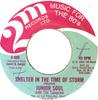 7-дюймовая пластинка JUNIOR SOUL THE TAMLINS Shelter In The Time Of Storm 600 2M Records Ltd. 1982 США Регги Ска Даб Б/у