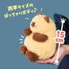 Today is Monday. Cat Feelings Plush Toy 15cm Official (Sham Cat (Brown))