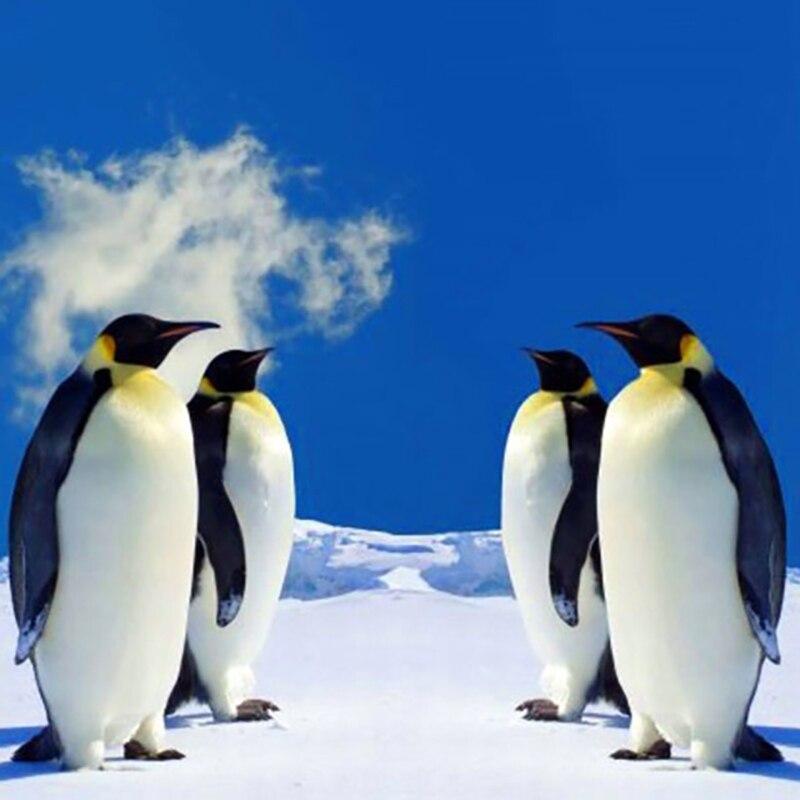 5D Diamond Painting Penguin Full Round Drill Animal Diamond Embroidery Mosaic Rhinestone Home Decor Wall Art Gift