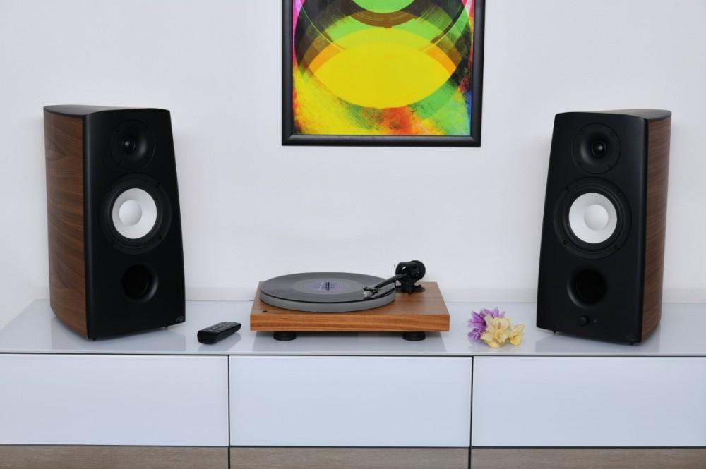 Acoustique Quality CANTO 3 FORTE / orzech , Acoustique Quality