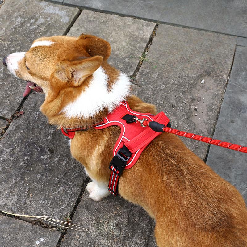 Ремень для выгула собак, универсальный светоотражающий жилет, поводок для собак, грудь, спина