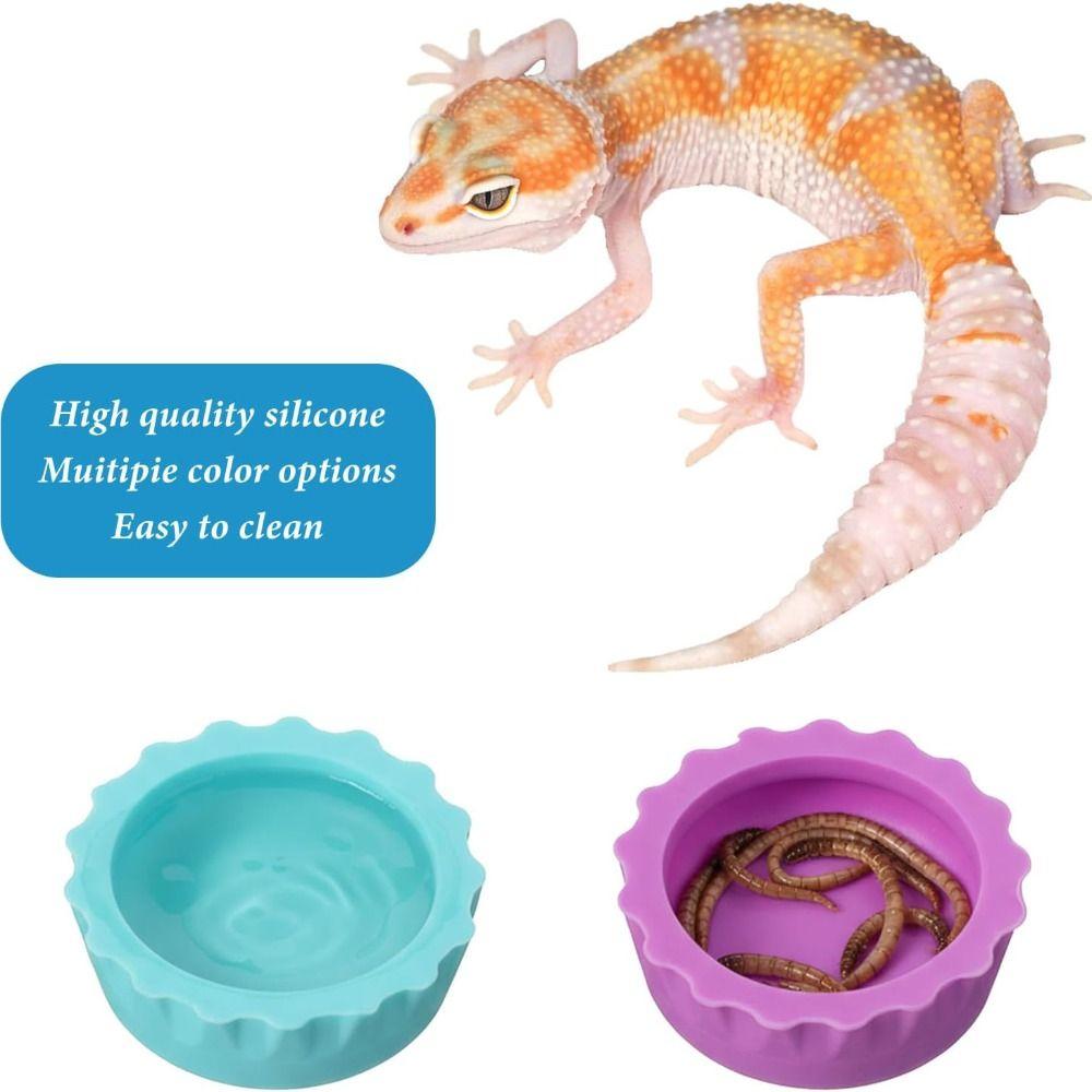 6pcs Silicone Feeding Dish Reusable Gecko Feeding Cups BPA Free Small Reptile Bowl Pet Supplies