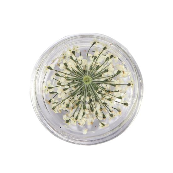 1 коробка подвески для ногтей, не выцветающие, «сделай сам», легко наносятся, изысканные красочные натуральные цветы, художественное украшение для маникюрного магазина