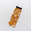 Sweat-Absorbent Socks Warm Women's Autumn Winter Cartoon Animal Mid-Calf Length Socks Female Cotton Socks Toe