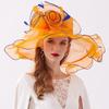 European and American new going out leisure big eaves hat spring and summer women's organza embroidery hat manufacturer flat top hat