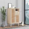 Chest of Drawers Doors, Drawers, Open Storage Compartments, Modern Highboard Made of Wood Rattan Doors, Bedroom, Living Rooms, Office, Oak, 60x40x101cm