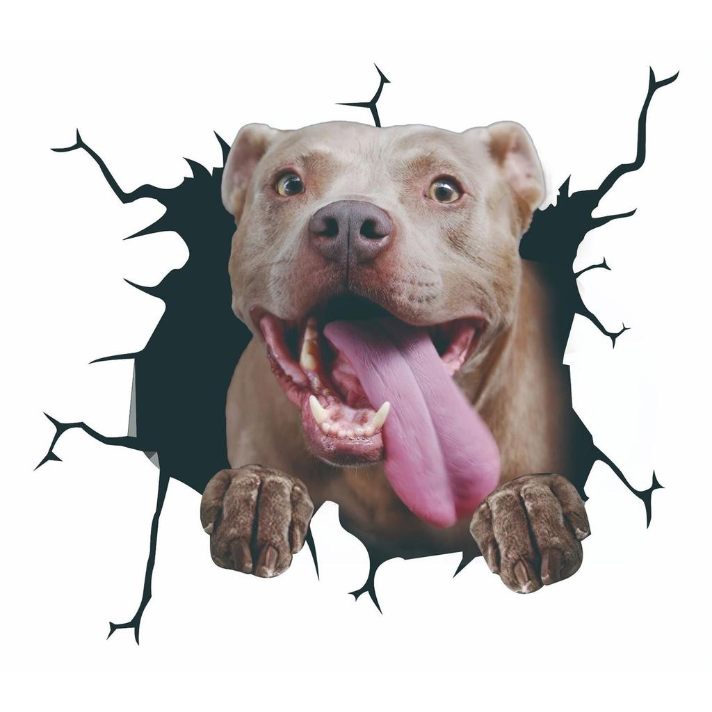 3D Dog Crack Sticker PVC Plastic Sticker Car Window Decal Laptop Funny Decals