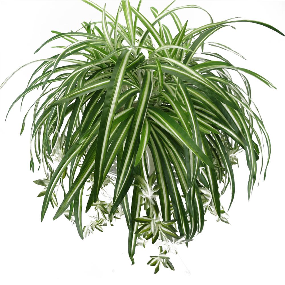 Искусственный хлорофитум, шелковый цветок, орхидея, растение, настенное крепление, имитация украшения из ротанга