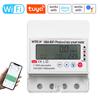 Tuya WiFi Intelligent Photovoltaic Meter Breaker Timer Multifunctional Solar Bidirectional Hour