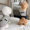 Puppy Dress Skirt Cats Beach Skirt Bowknot T-shirt Dress Beach Puppy Dog and Cats Princess Holiday Wedding