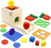 Montessori Toys Play Kit Sorting & Matching Toys Coin Ball Box Multi-function Stick Pull Radish Game Baby Learning Toys