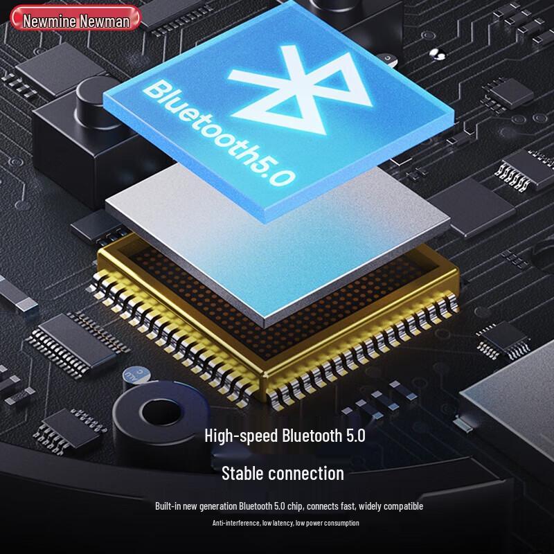 Newmine BT31 Wireless Desktop Speaker