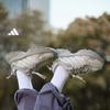Обувь Adidas для послерабочего времени - SHADOW FEVER OD - Амортизация и упругость Толстая подошва Папины кроссовки KJ1213