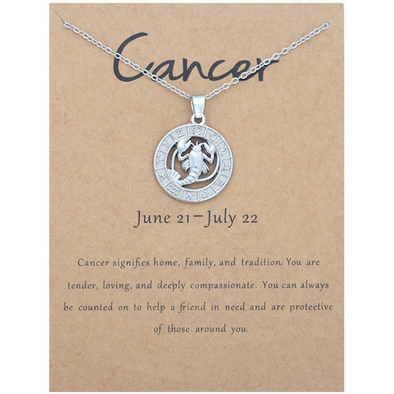 12 Zodiac Signs 3D Image Pendant Necklace Ins In Stock Zodiac Card Collarbone Chain