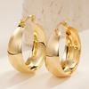 French Fashion, Light Luxury Style, Simple Women's Earrings, Large Curved Geometric Accessories, Exquisite