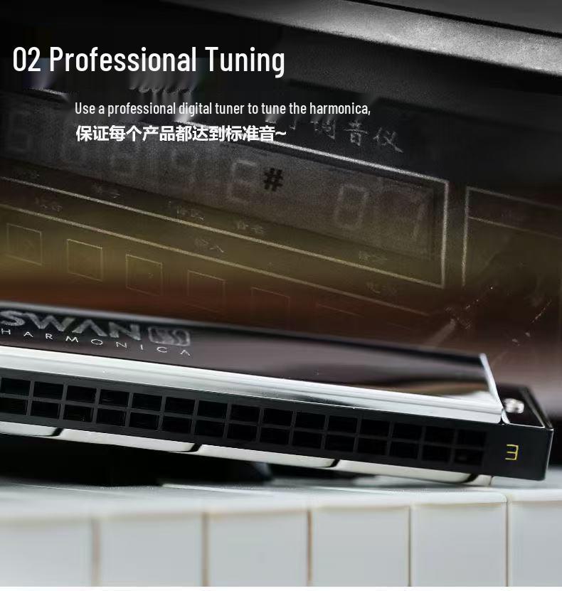 Набор губных гармоник Swan: 24-луночный, 7-предметный, 12-предметный Ящик для Студентов и Взрослых. Включает клавиши от A до G, идеально подходит для начинающих.