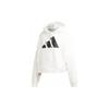 Colorblock Logo Sports Pullover Hoodie Women Tops White GC9168