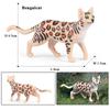 Oenux Симуляция Дикие Животные Бенгальская Кошка Тигр Рысь Каракал Леопард Фигурка Фигурки Модель Образование Миниатюра Игрушка для Детей