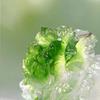 Aris & Juno Chinese Fengshui Statue,Lucky Cabbage Statue Intangible Cultural Heritage Wax Loss Craft Gradient Green White Liuli Decoration Home