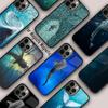 Магнитный чехол для телефона с изображением китовой акулы для APPLE iPhone 17 Air 16 14 13 12 Pro Max 15 Plus Беспроводная зарядка Обложка MagSafe