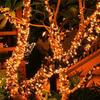 22M 200LEDs Solar String Light Waterproof Solar String Lights Outdoor Garden Solar Light Chain Holiday Christmas Tree