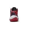 Баскетбольные кроссовки Li Ning Youth Pioneer Team 2.0 Stable Support Low-Top Детские кроссовки Cinnabar-Red YKBS004-13