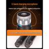 SANSUI E81 Home KTV Audio System CN plug (adapter included)