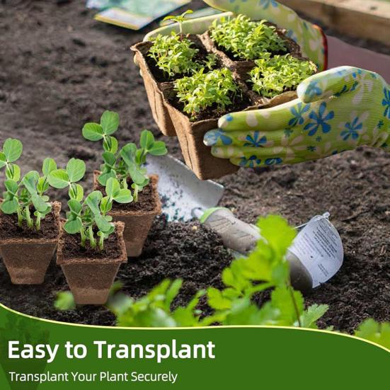 Юшенг 12-ячеечный поддон для рассады Биоразлагаемые горшки для растений Дышащий поддон для проращивания семян с бирками и инструментами для цветов, овощей, трав, домашнего садоводства