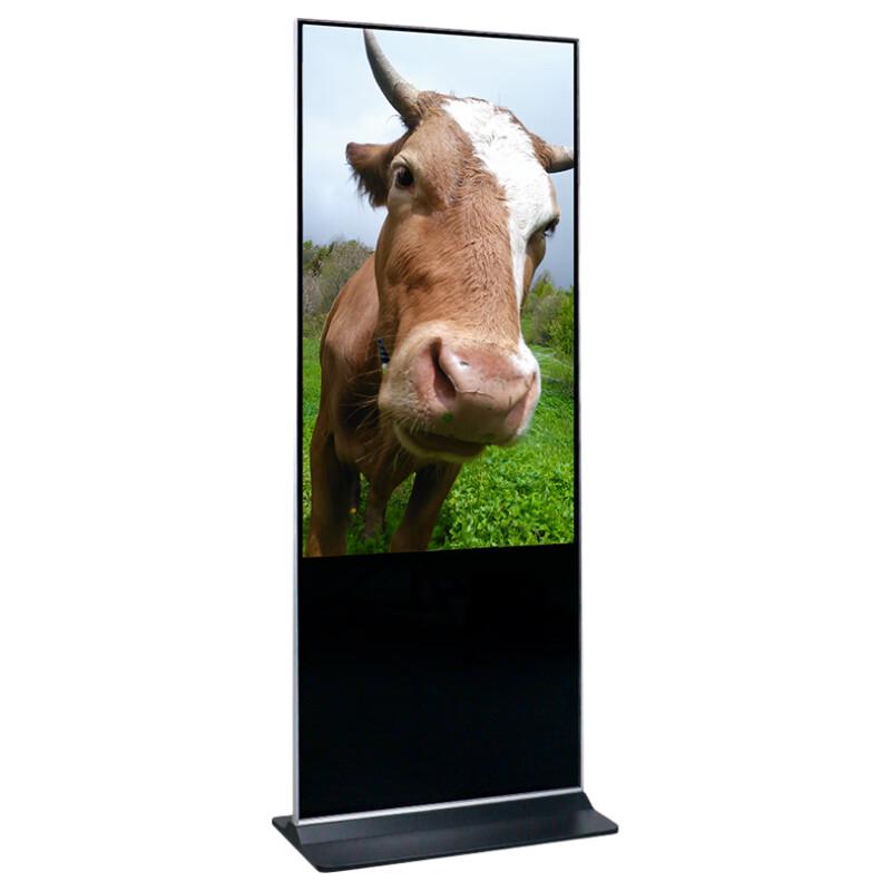 CHANGYU 55-inch Touchscreen Digital Signage (CN version)
