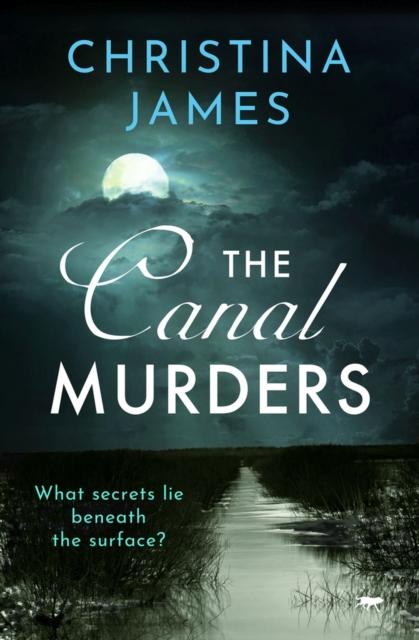 The The Canal Murders Book