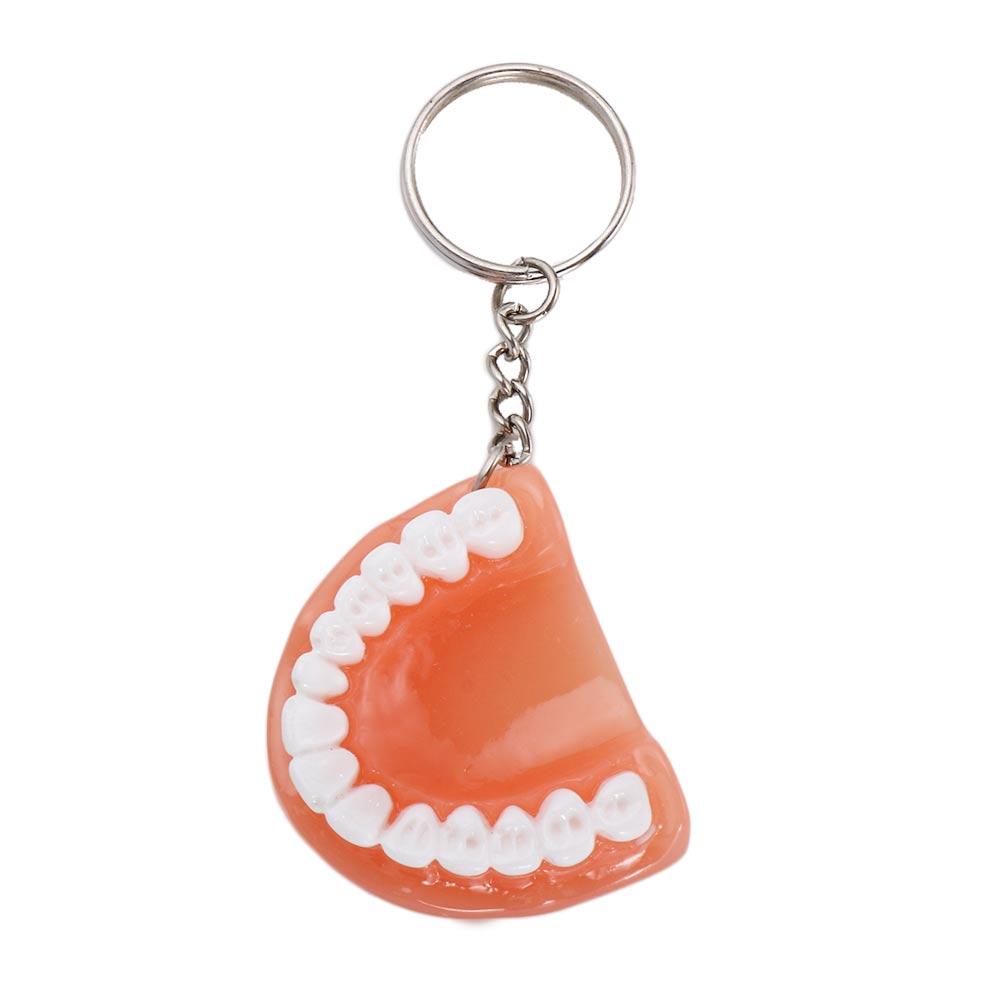 Gift Teeth Shape Resin Upper Jaw Teeth Pendant Tooth Key Chain Denture Key Chain Teeth Keyring