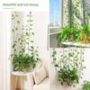 Invisible Plant Climbing Wall Fixator Clips Plant Fixture Rattan Vine Bracket Fixed Buckle Leaf Clips Traction Holder for Garden Balcony