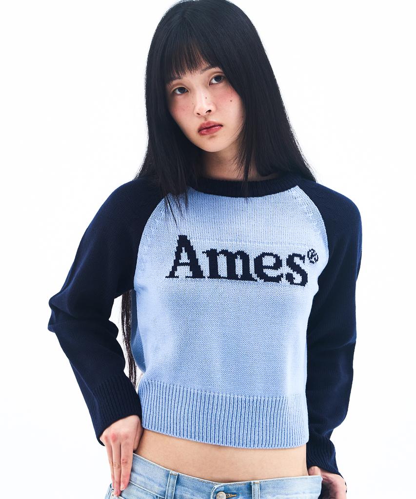 AMES-WORLDWIDE Basic Raglan Pullover Knit Blue