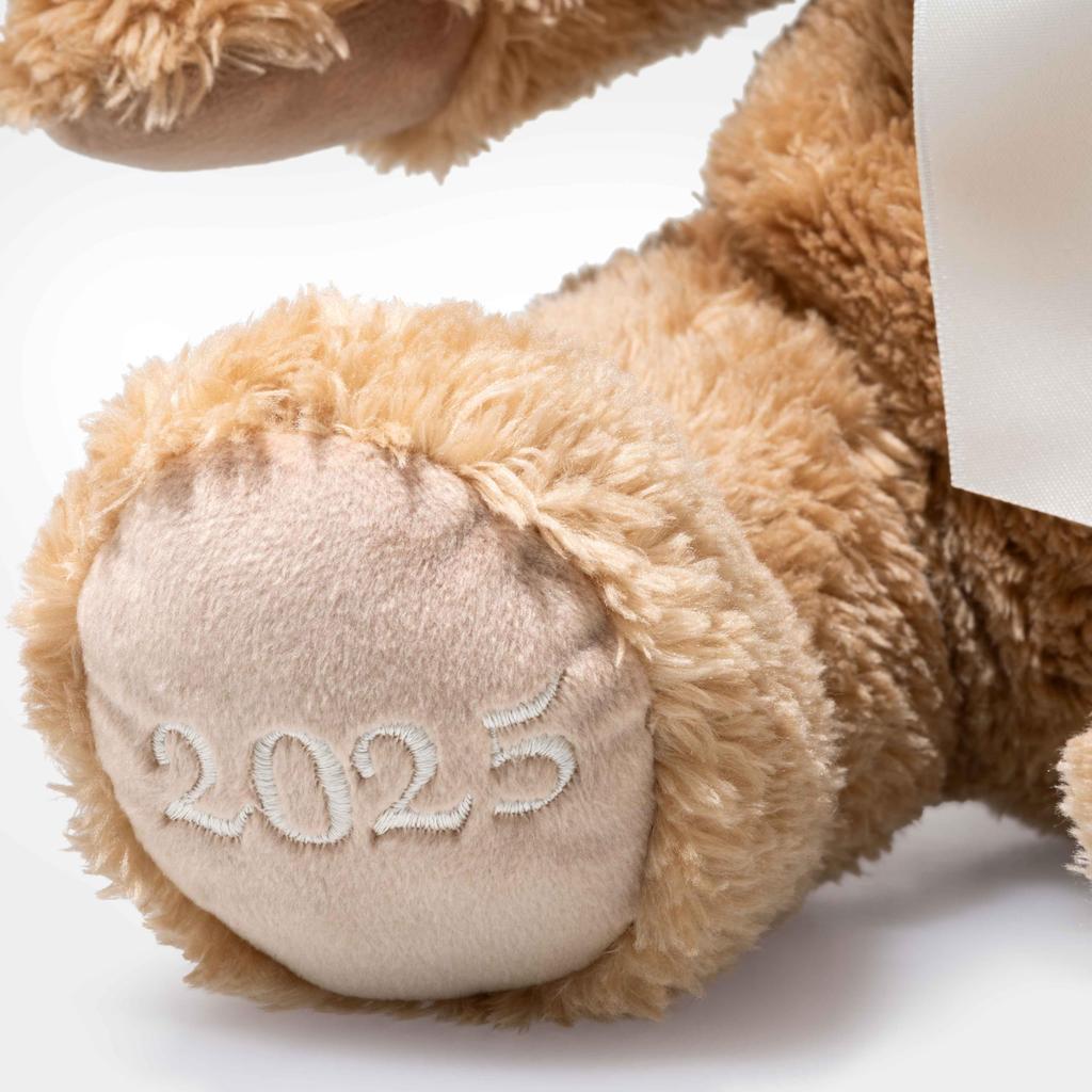 Steiff Cozy Year Bear 2025 114113