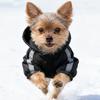 Windproof Fleece Dog Clothes Warm Pet Sweatshirt Fashion Dog Hooded Coat  Outdoor