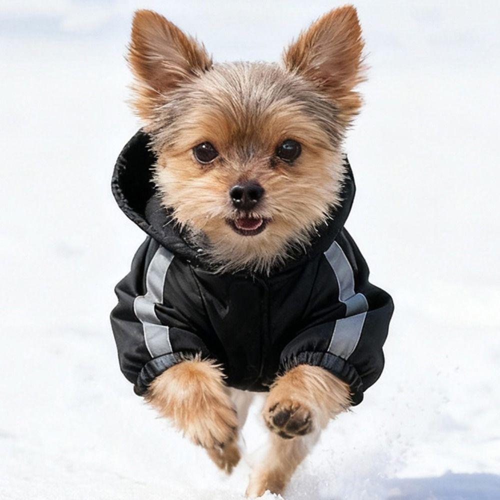 Windproof Fleece Dog Clothes Warm Pet Sweatshirt Fashion Dog Hooded Coat Outdoor