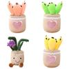 Soft Plush Doll With Succulent Plant Theme For Home Decor