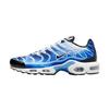 Мужские Air Max Plus Light Photography - Old Royal Мужские кроссовки Синий Черный Varsity-Royal DZ3531-400