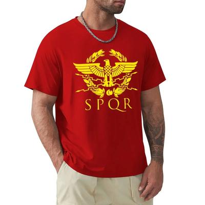 Новинки 2024 Винтажный Орёл SPQR Рим Латинский Крутой Ретро Красный Принт Мужская Футболка 100% Хлопок Футболки с Коротким Рукавом#Цвет(3)