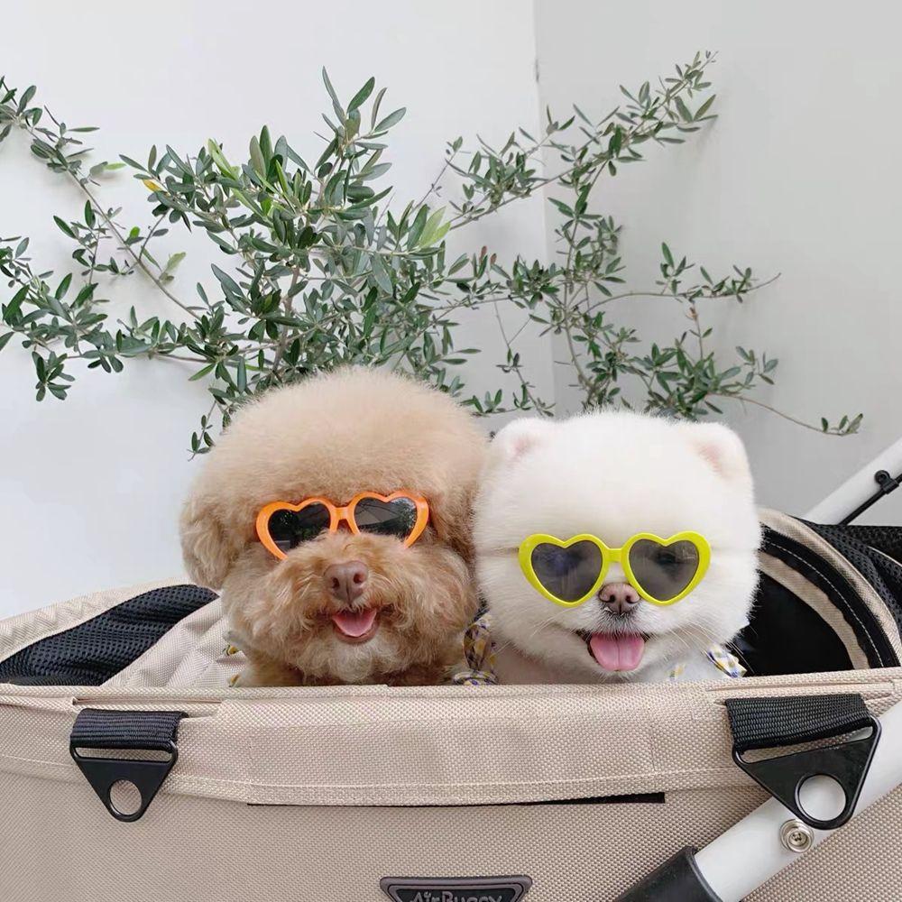Photos Props Pet Glasses For Small Cat Cat Glasses Cat Eye-Wear Cat Sunglasses Pets Party Decor