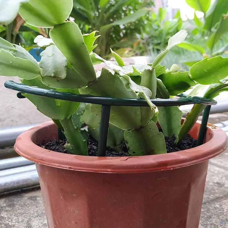 2-12 шт. Пластиковая опора для растений, колышек, каркас, тепличная композиция, полукруглый фиксирующий стержень, опора для комнатных цветов, вьющихся растений