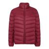 Light down jacket women's autumn and winter new short white duck down winter stand-up collar thin casual coat tide