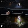 Anti Loss Nighttime Dog Walking Pendant Durable Dog Night Travel Light  Pet Walking
