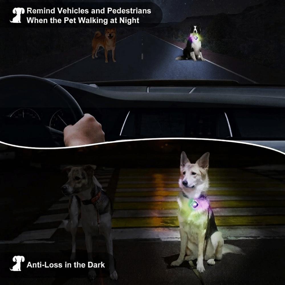 Anti Loss Nighttime Dog Walking Pendant Durable Dog Night Travel Light  Pet Walking